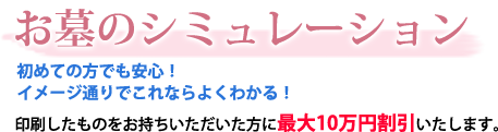 ̃V~[V